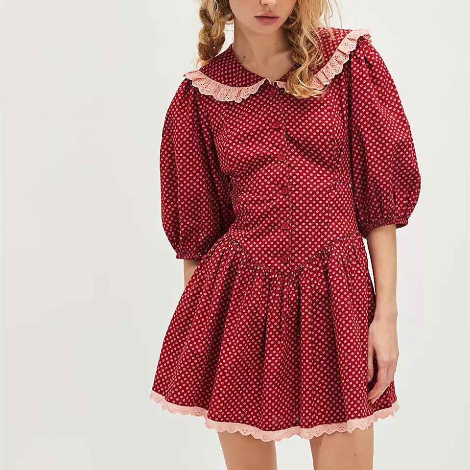Lace Collar Mini Dress